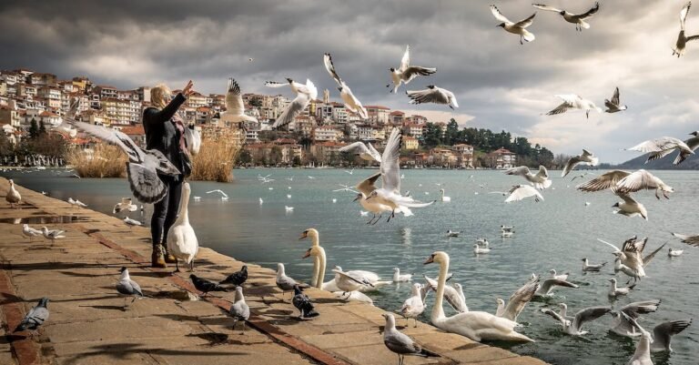 How To Recuperate From Long Travel Days