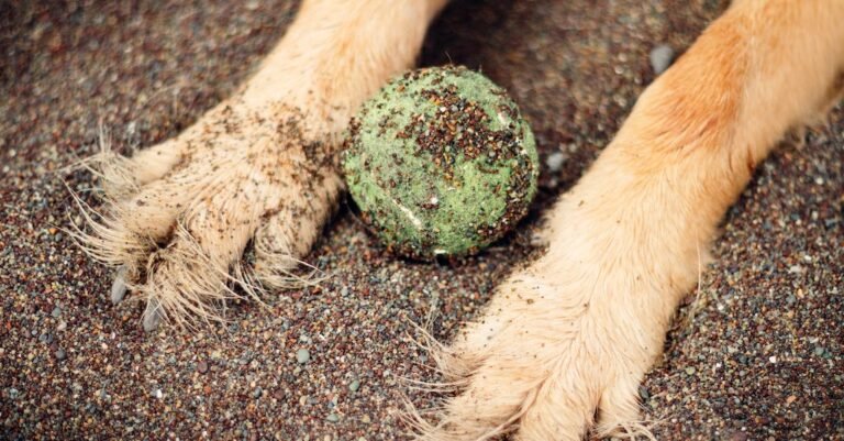 Good Solid Advice About Baseball That Anyone Can Use